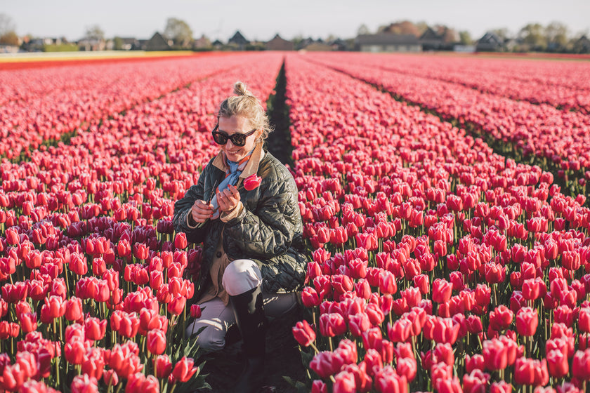 Тюльпановий тур