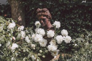 Правила флористики